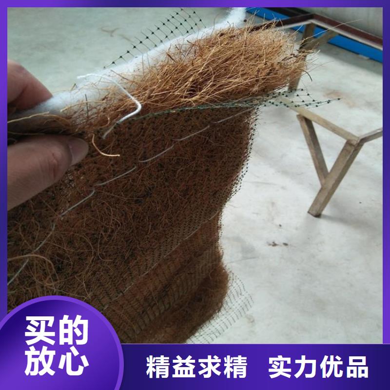 植物生態防護毯-椰纖植生毯生產廠家-哪里有賣的