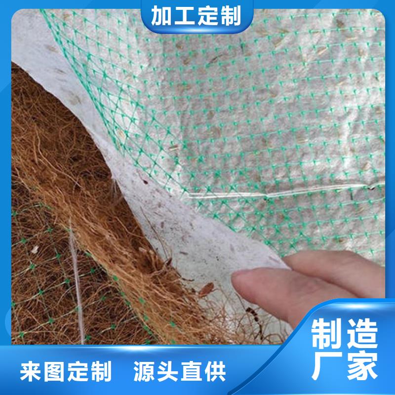 椰纤植生毯-加筋草籽毯