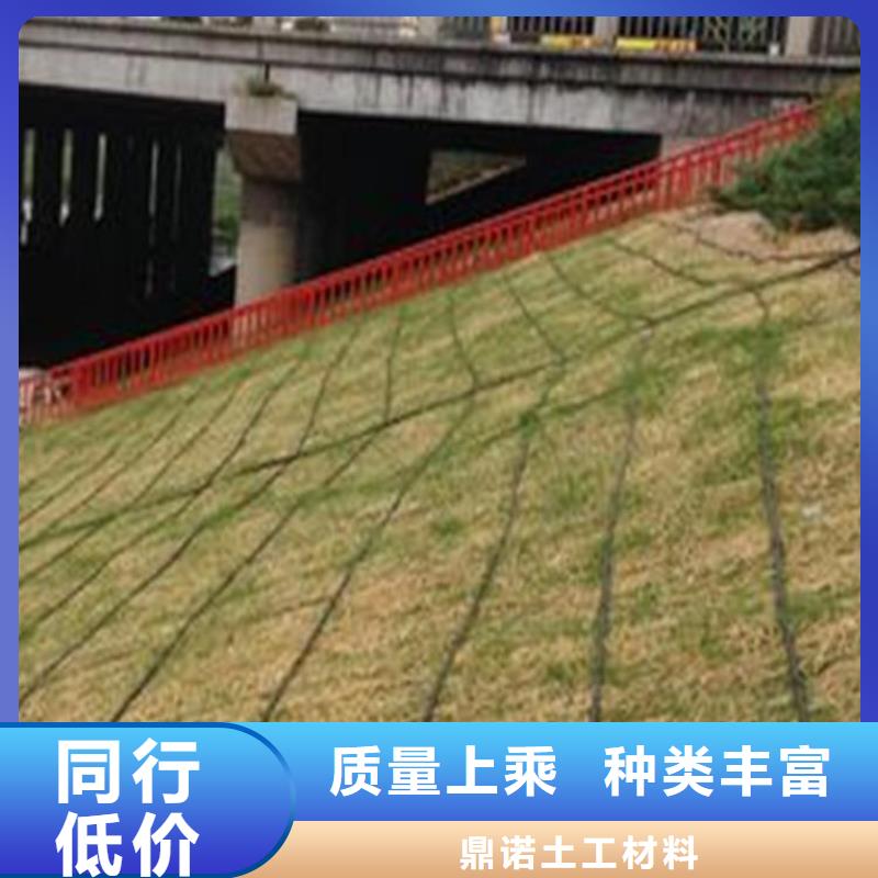 植物纖維毯護坡植被植草毯