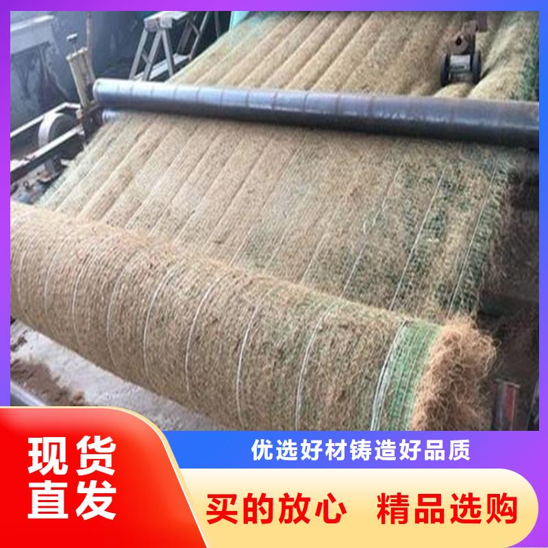生態(tài)環(huán)保草毯-椰纖植生毯供應(yīng)