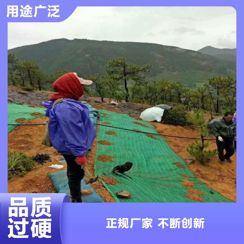 椰纤植生毯植物纤维毯公司-批发