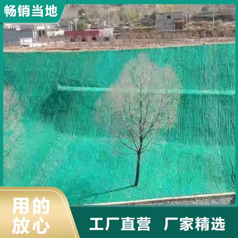 椰纤植生毯加筋抗冲生物毯