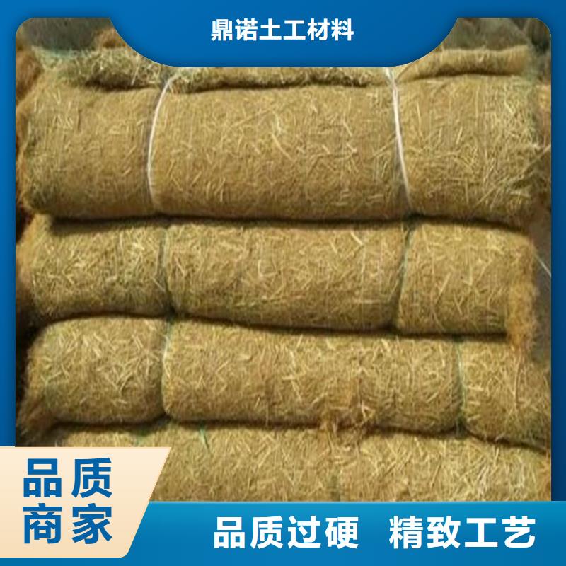 護坡植被植草毯-河道護坡植生毯