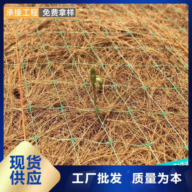 椰纤植生毯生态环保草毯