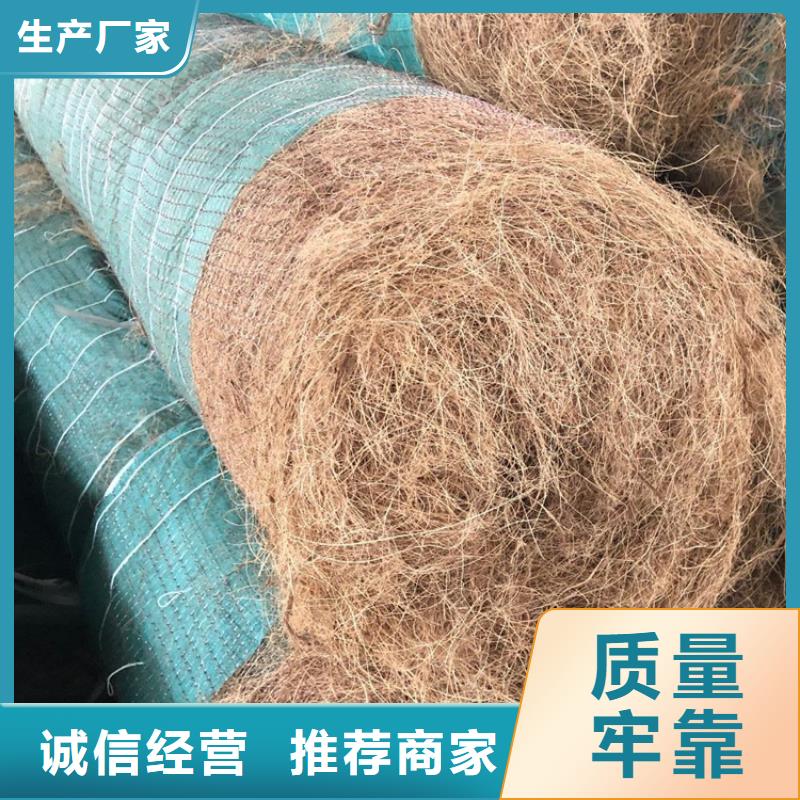 椰絲植生毯-草籽植生毯-加筋復合抗沖生態毯