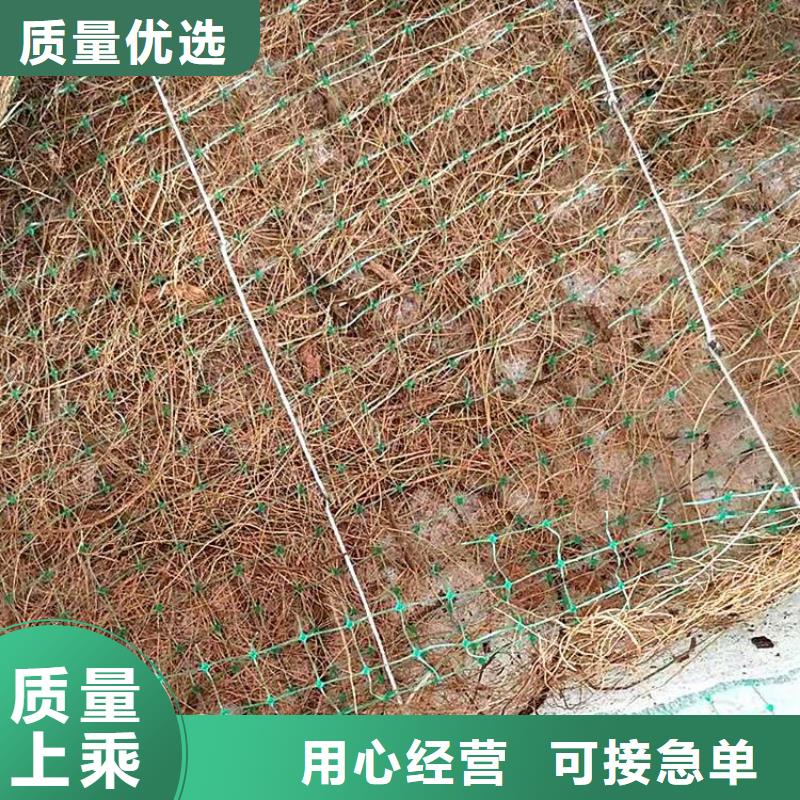椰絲毯-椰棕植生毯-椰絲護坡毯