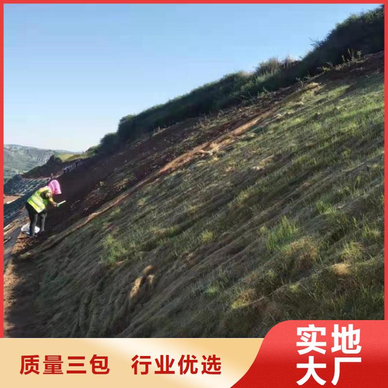 加筋抗冲生物毯本地供应