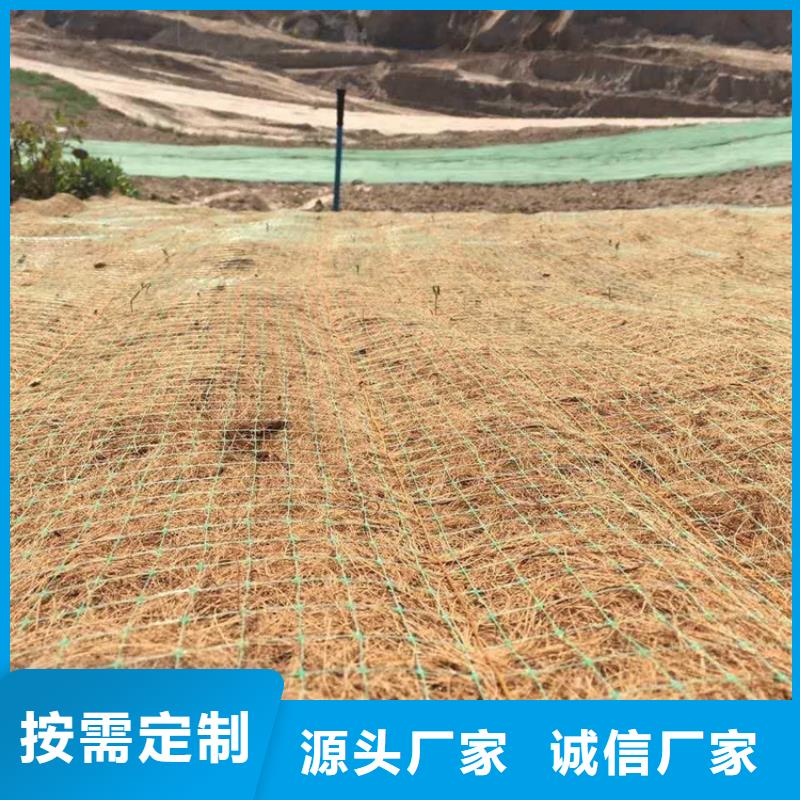 椰丝植生毯-麻椰固土垫-草种植物纤维毯