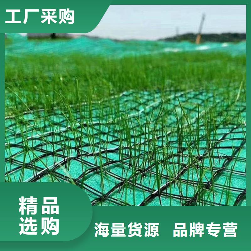 生态环保草毯-植生椰丝毯施工团队