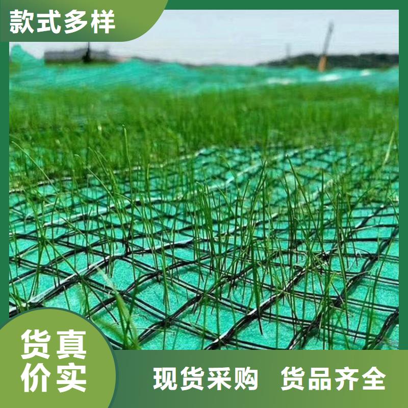 椰丝植生毯-生物草毯生态垫-椰丝环保草毯