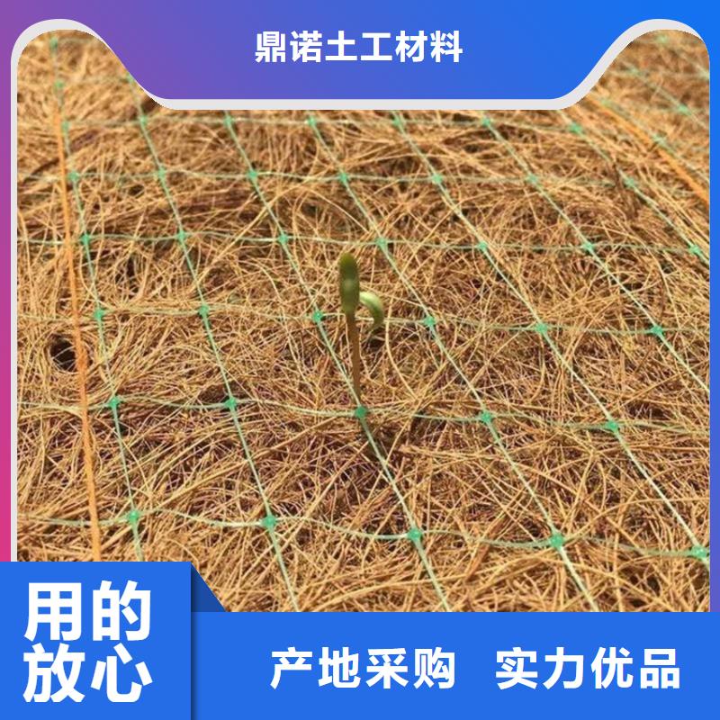 椰丝植生毯-生物草毯生态垫-椰丝环保草毯