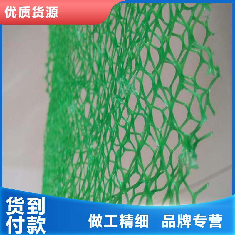 EM4三维固土网垫-护坡三维土工网垫