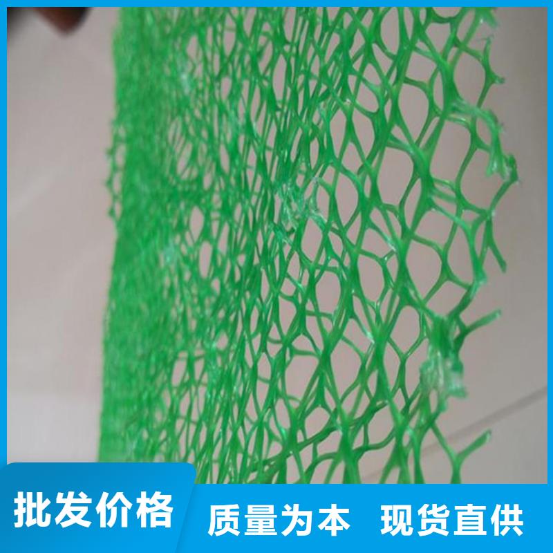 EM3三維土工網墊