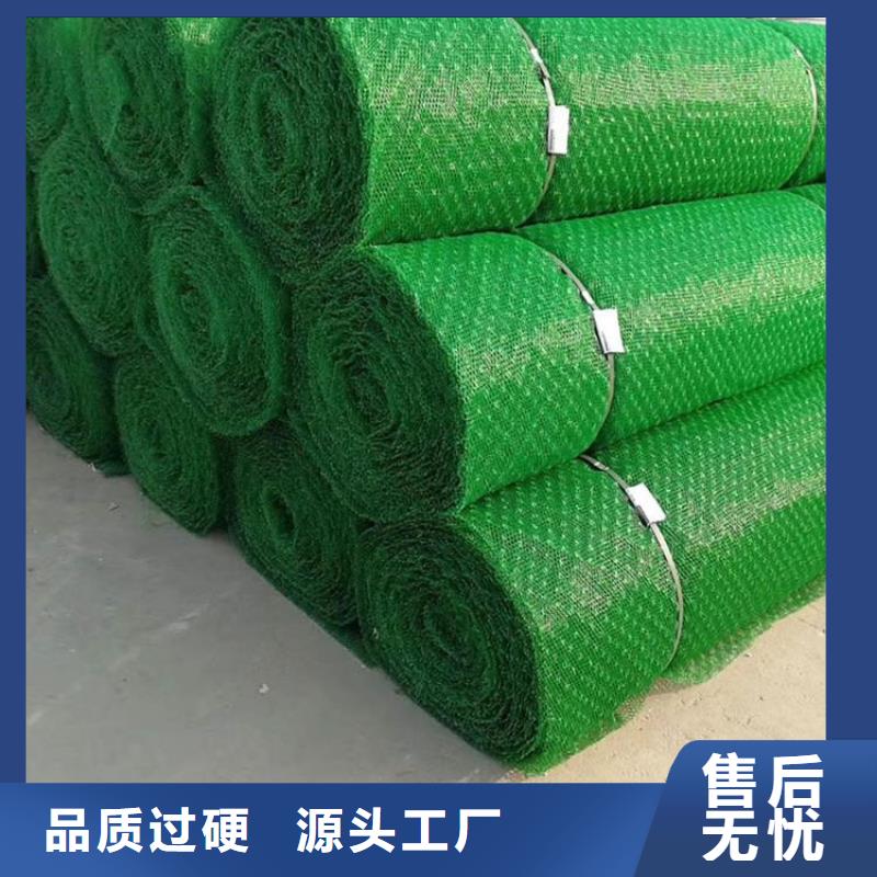 三维植被网,玻纤格栅精心选材