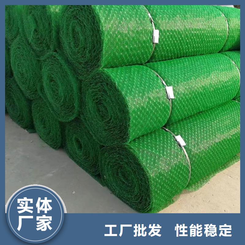 三維植被網-三維土工網墊