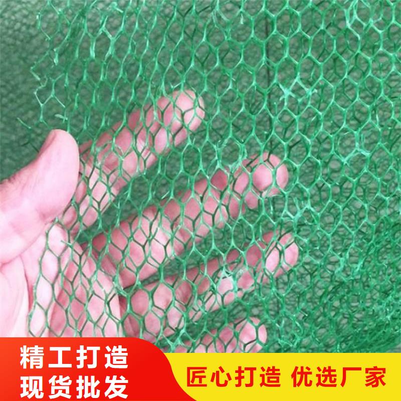 EM2三维植被网-三维固土网垫