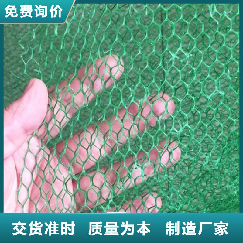 固土草皮三維土工網墊