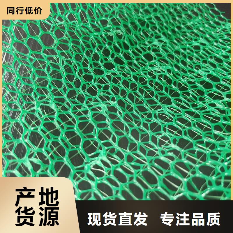 EM3三維土工網墊規格