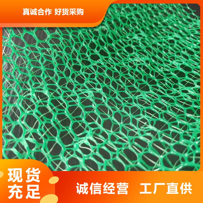 EM3三維土工網墊-三維護坡網墊