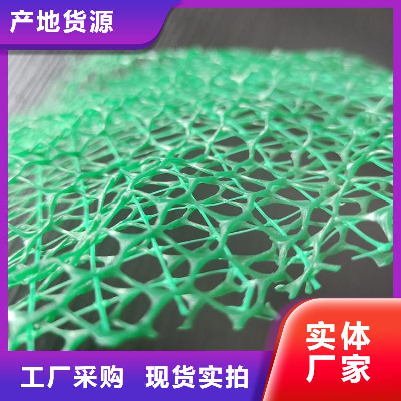 三維土工網墊-EM3三維植被網