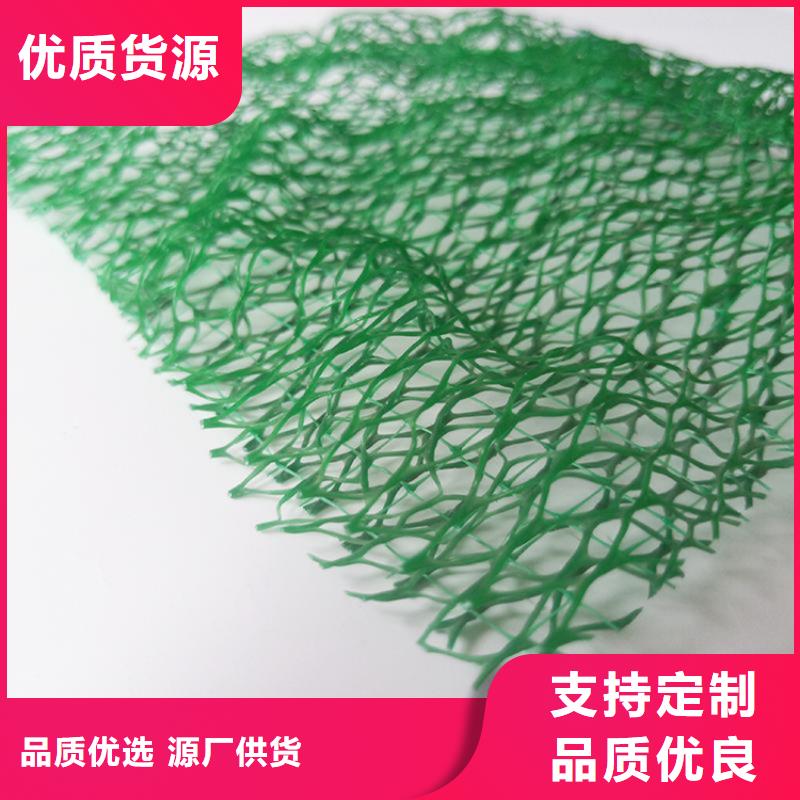 固土草皮三維土工網墊