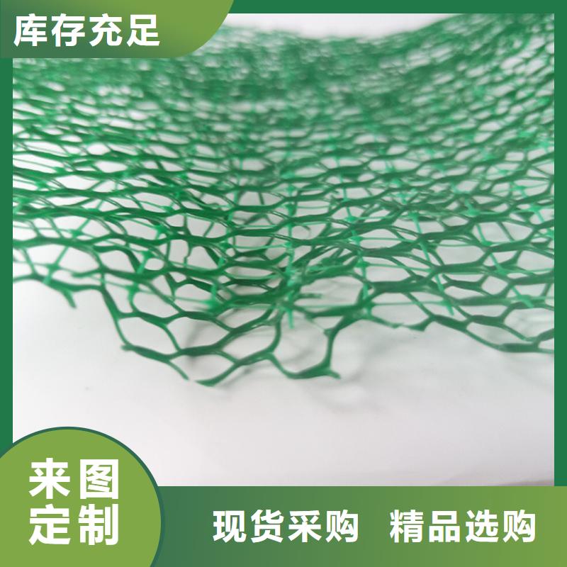 塑料EM3三維固土網(wǎng)墊