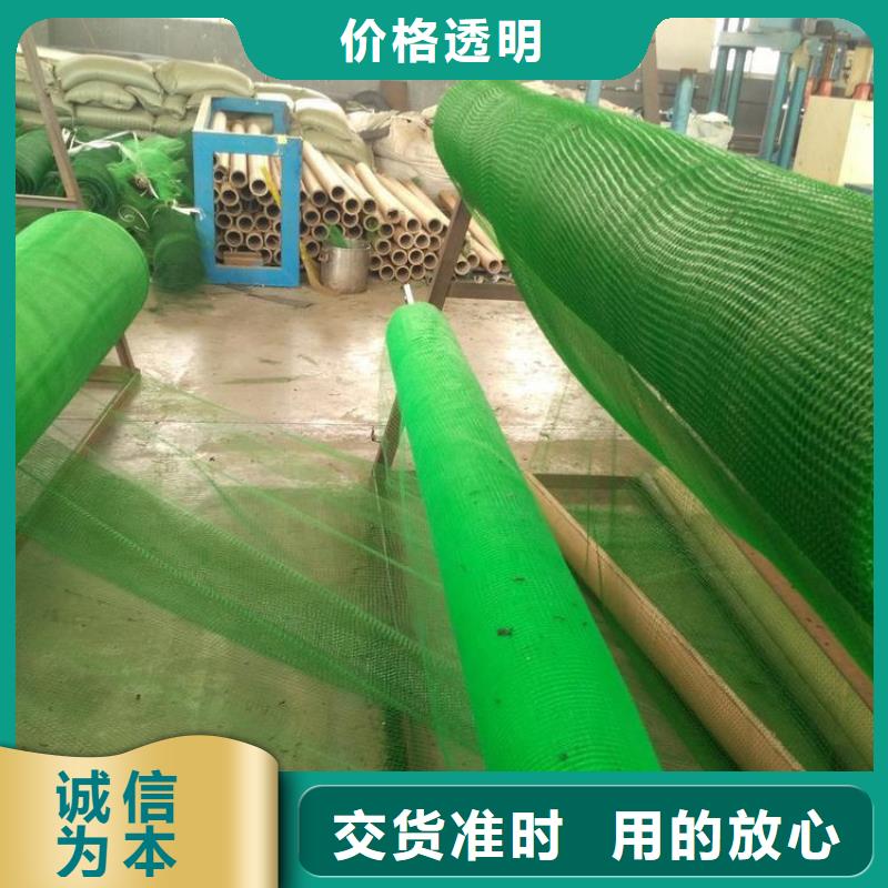 三維植被網(wǎng)-三維護(hù)坡植草網(wǎng)墊