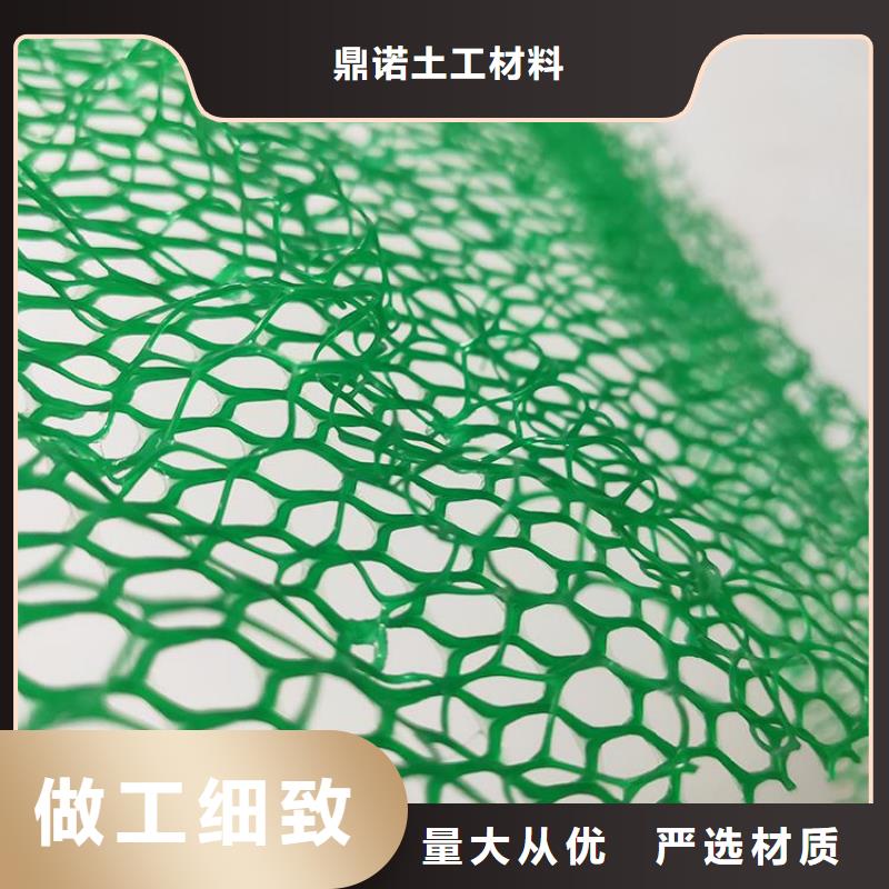 三維土工網(wǎng)墊EM3護(hù)坡