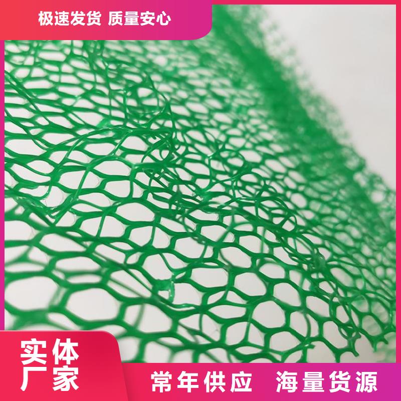 EM2三維植被網-EM5三維土工網墊