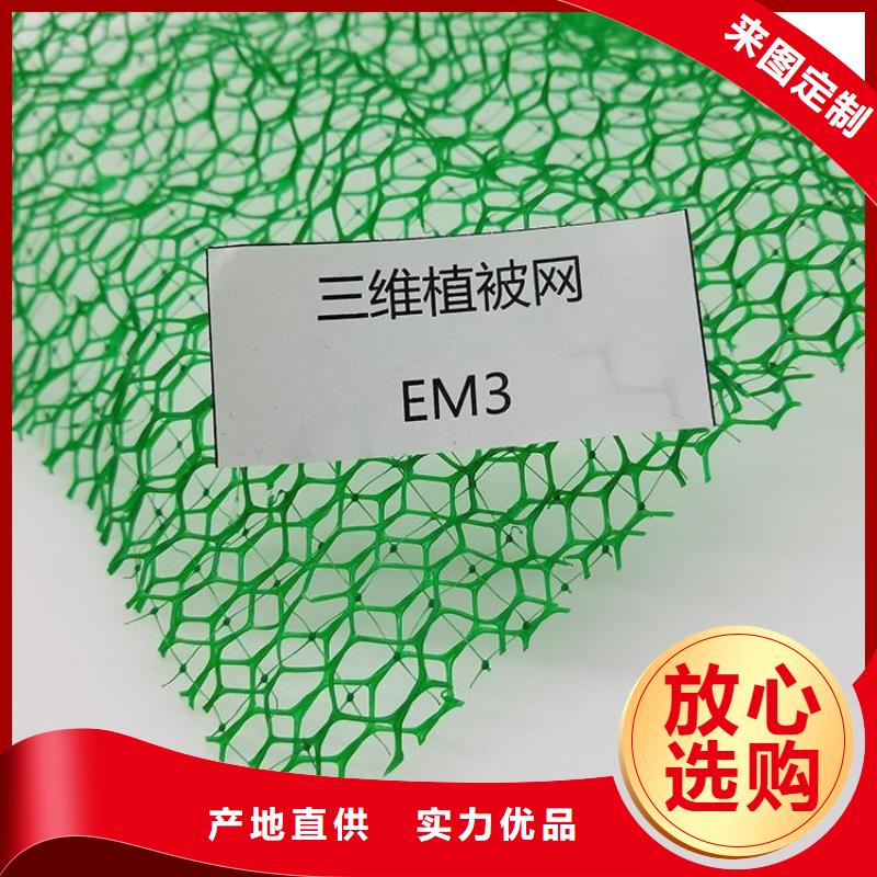 EM3三维土工网垫