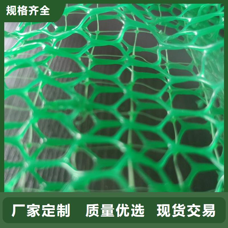 三維植被網(wǎng)排水板采購