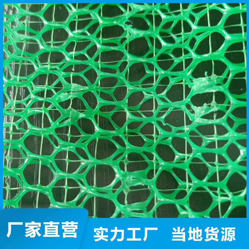 EM3三维加筋网垫-三维土工网