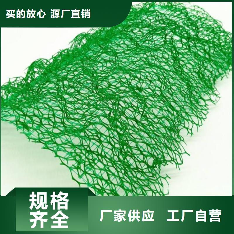 EM3三維土工網(wǎng)墊價(jià)格公道