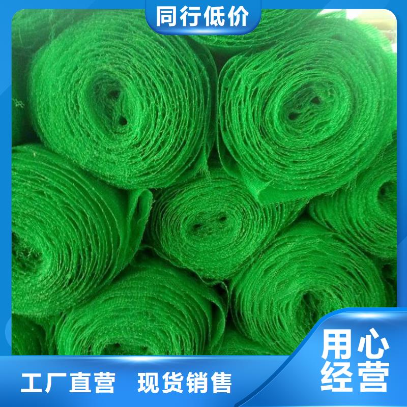 EM3三維土工網(wǎng)墊