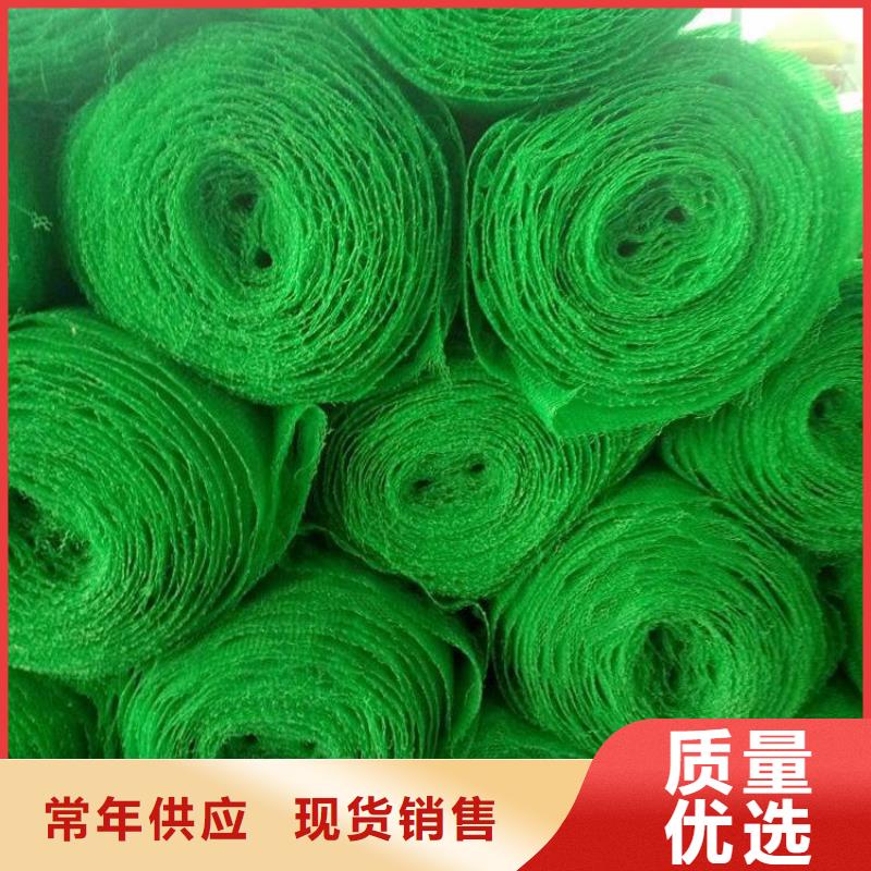 EM3三維土工網墊-三維護坡網墊