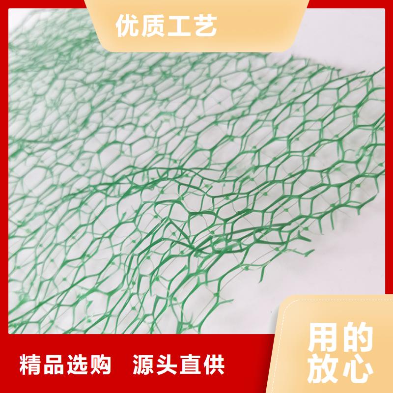 EM4三維固土網(wǎng)墊
