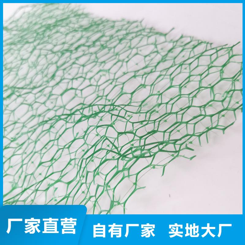 EM4三維護坡植草網墊-綠色三維植被網