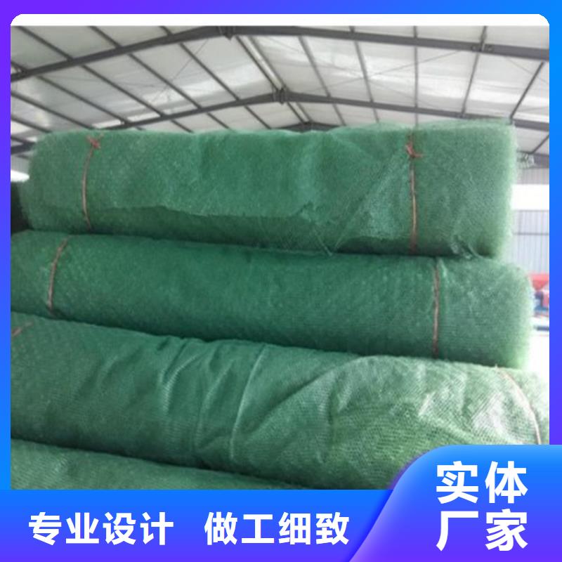 三維植被網(wǎng)排水板采購
