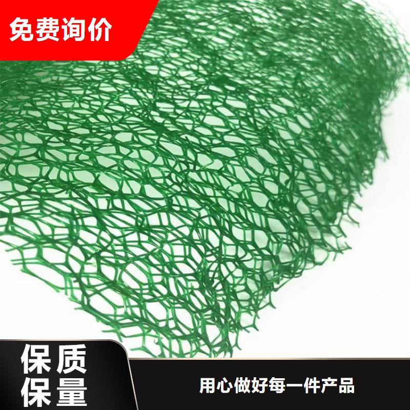 三維固土網墊EM3三維土工網墊