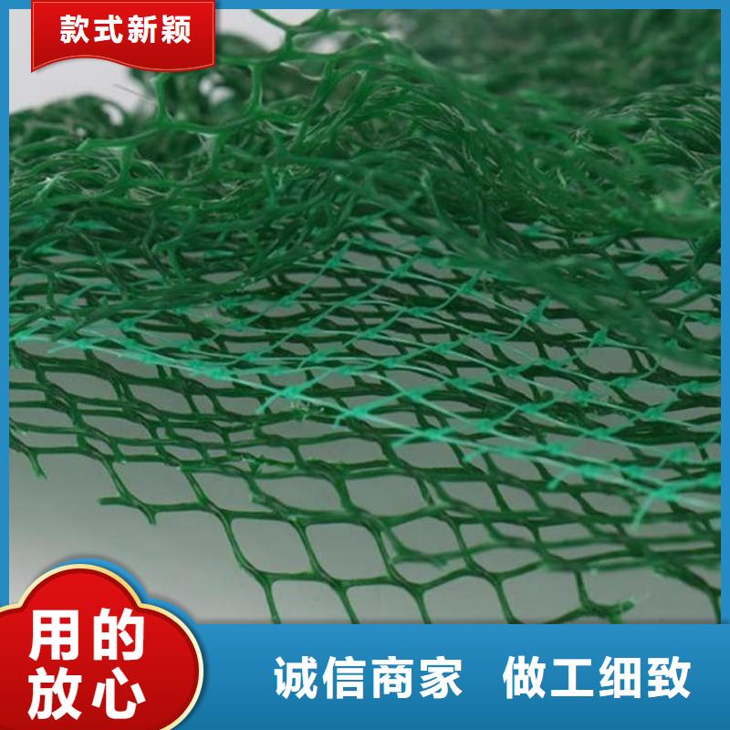 三維植被網(wǎng)-三維護(hù)坡植草網(wǎng)墊