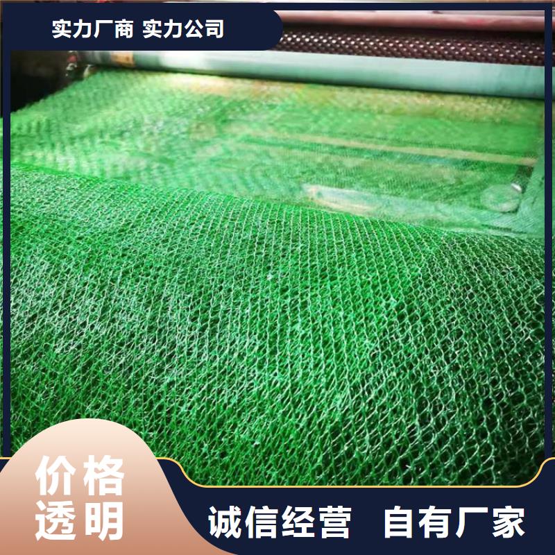 三維土工網(wǎng)墊-三維加筋網(wǎng)墊