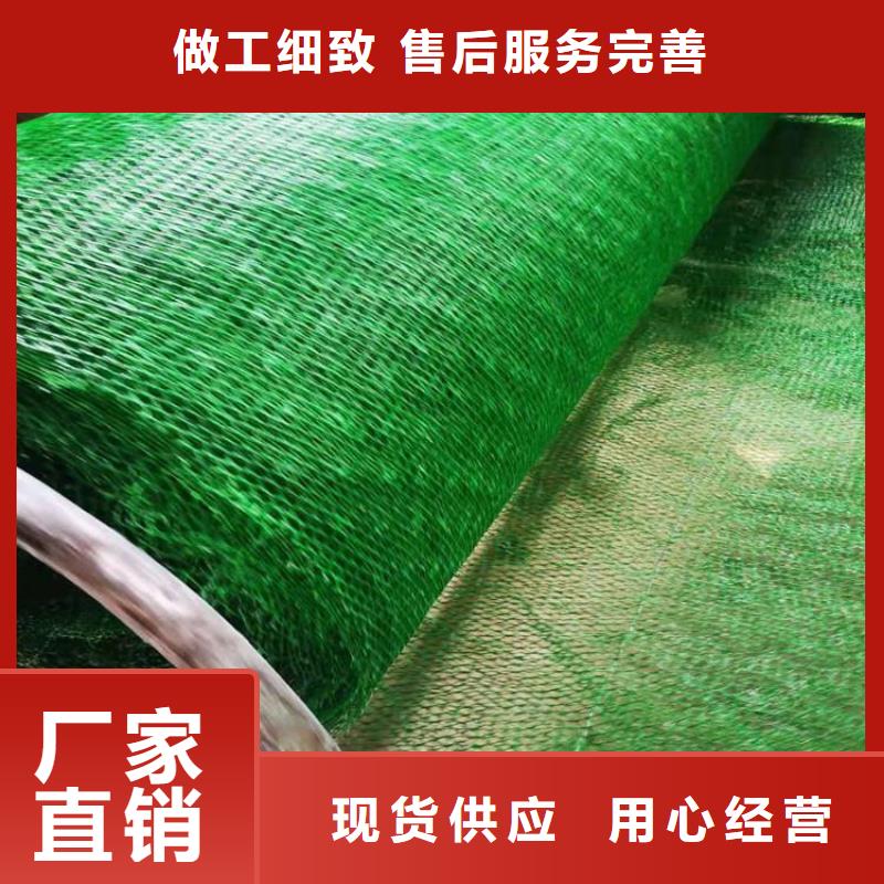 三維植被網-三維固土網墊