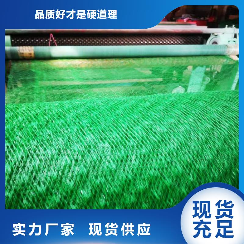 三維土工網墊-EM5三維加筋網墊