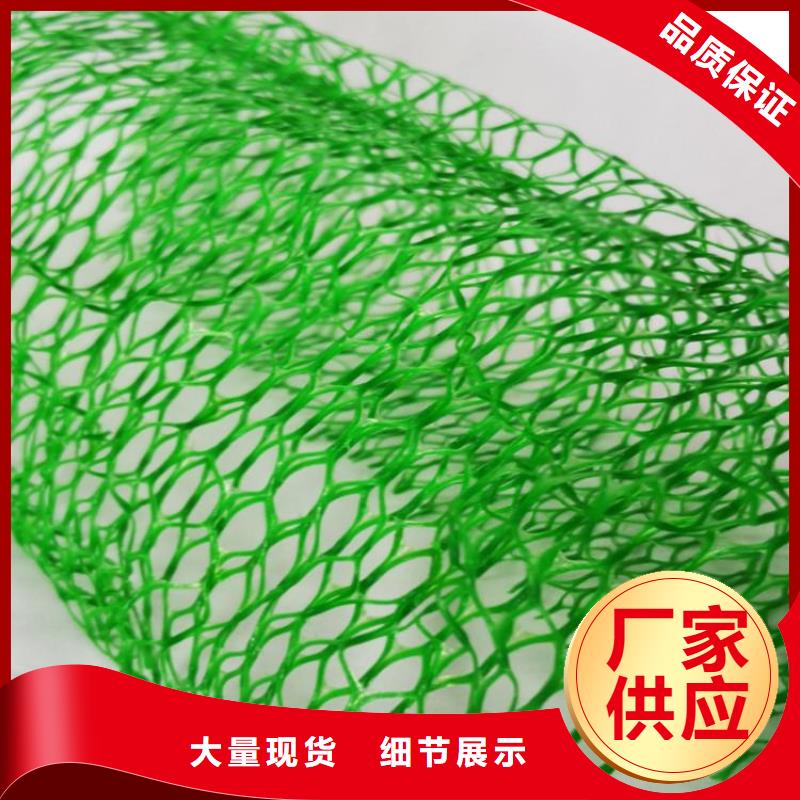 三維固土網墊三維土工網墊