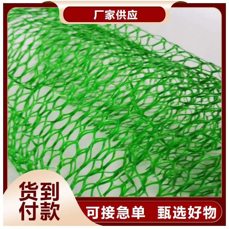 三維固土網(wǎng)墊廠家-公司經(jīng)銷