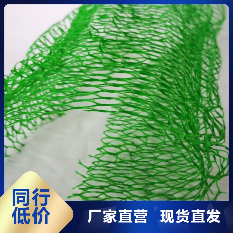 三維植被網-三維護坡植草網墊