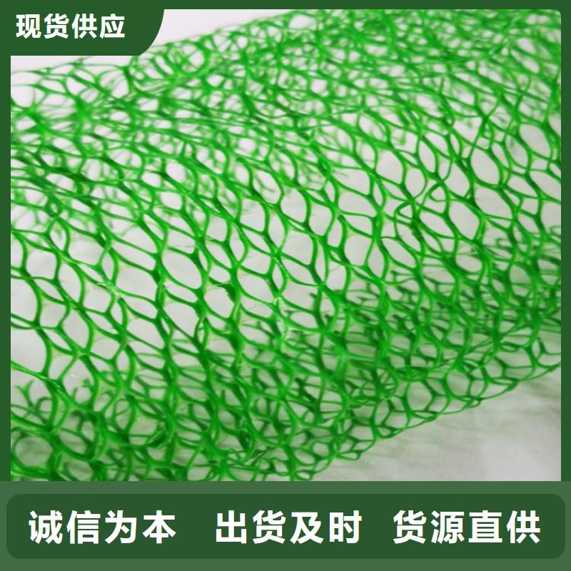 三維植被網(wǎng)排水板采購
