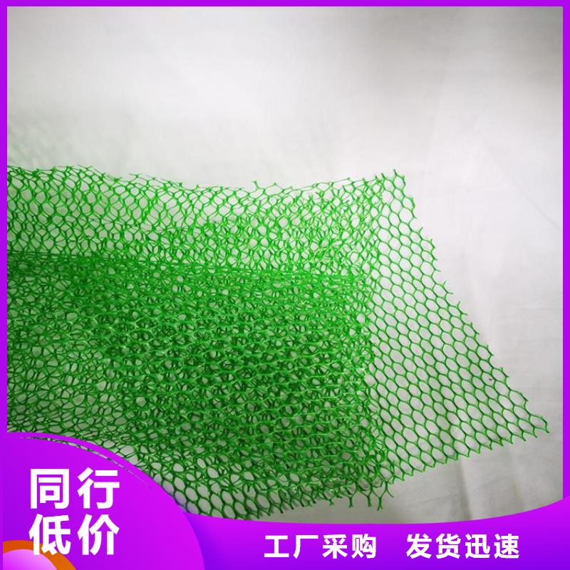 三維護坡植草網墊優惠多