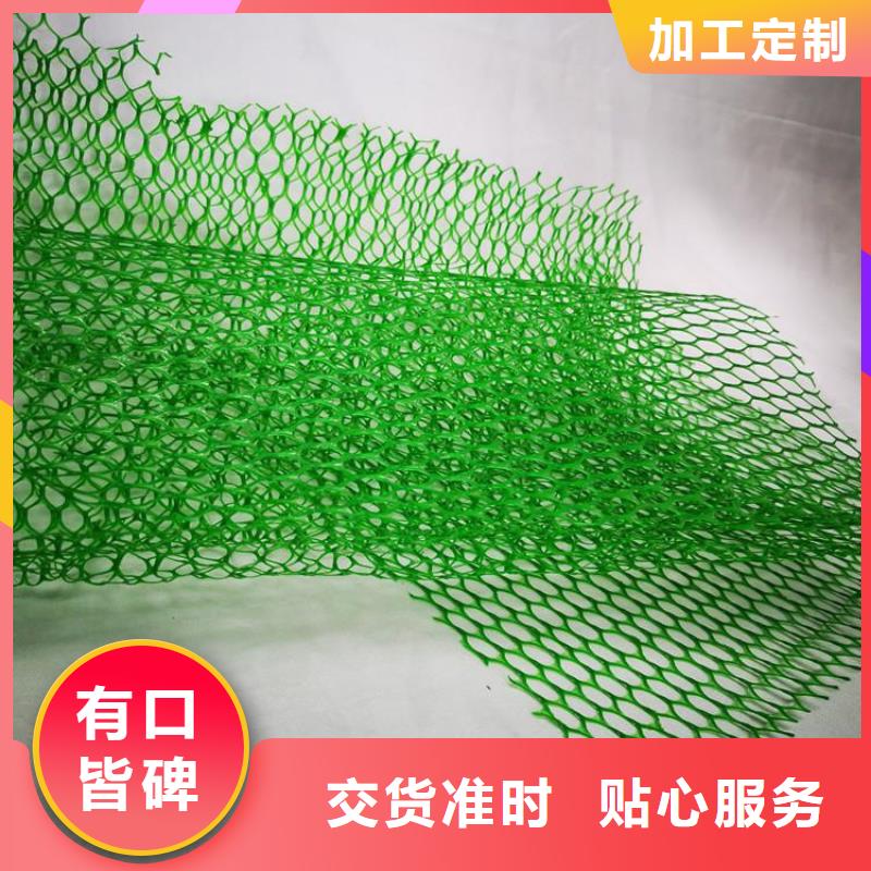 塑料绿化加筋护坡植草网垫