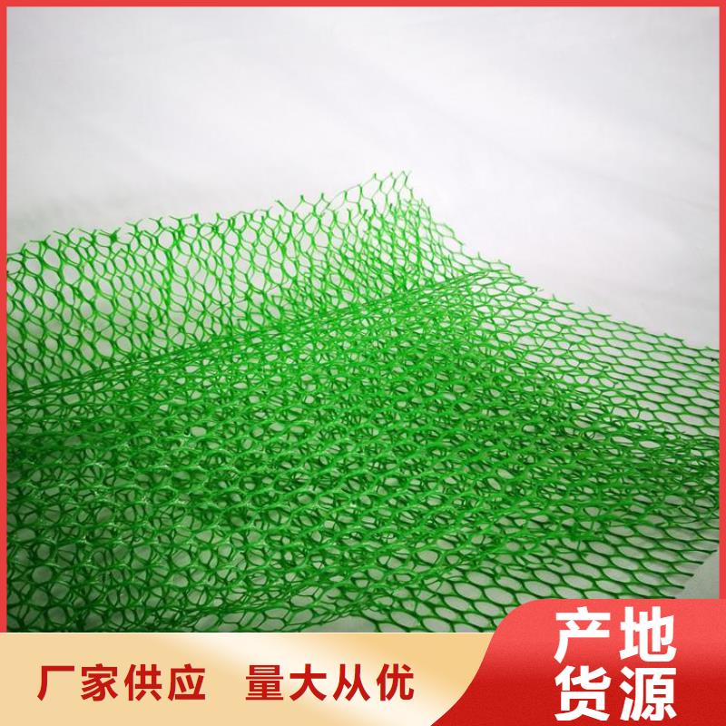 EM3三維加筋網墊-三維土工網墊